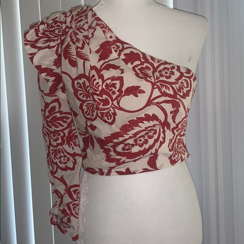 Zara one sleeve ruffle crop top NWT 💋